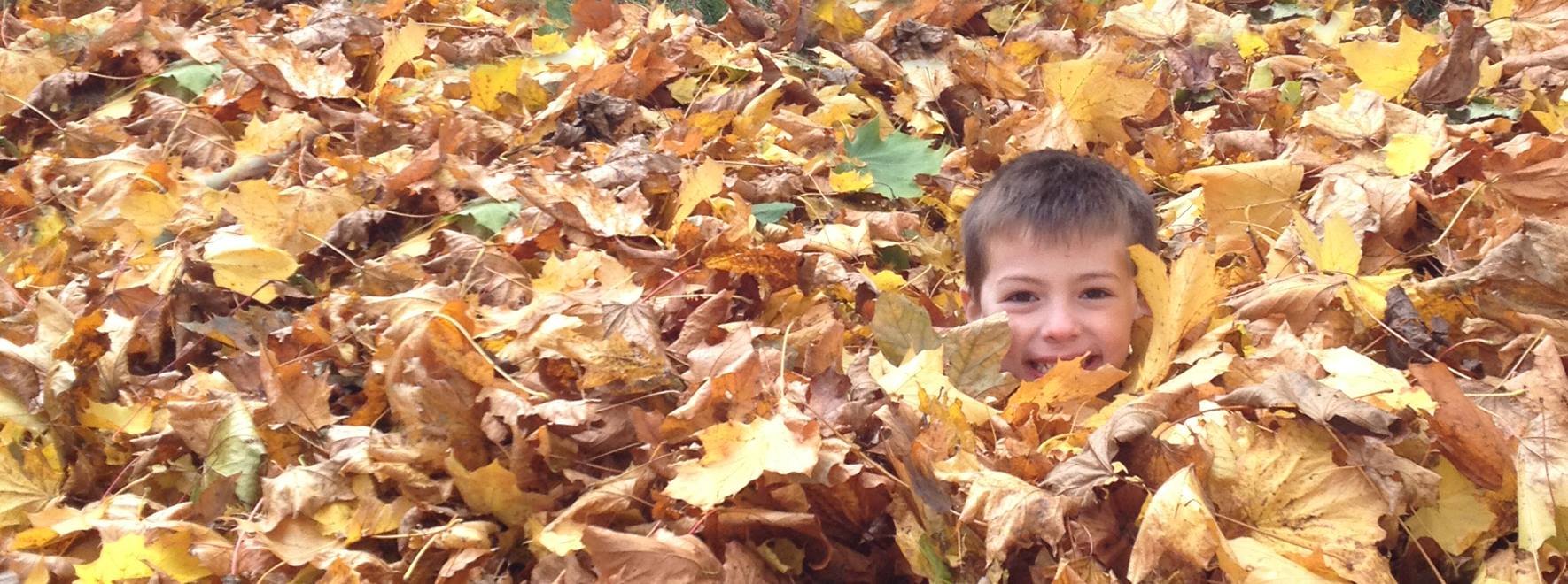 a boy hiding in autumn leaves